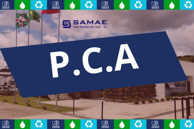 PLANO DE CONTRATAÇÕES ANUAL | PCA 2025