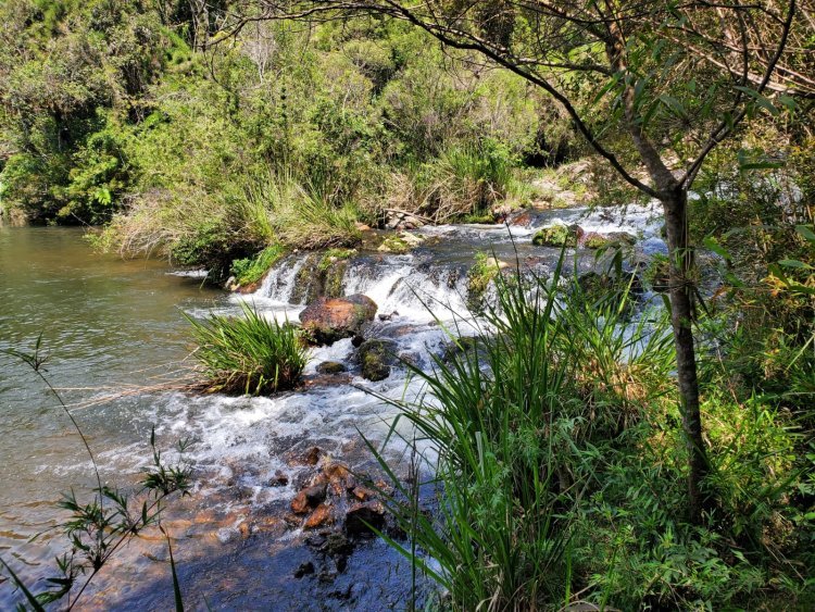 Agradecimento aos participantes do Programa de Pagamento por Serviços Ambientais - PSA
