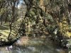 PSA: quem preserva a natureza também cuida da nossa água!