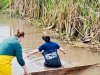 Equipe ambiental do SAMAE resgata curicaca ferida nas dependências de sua sede