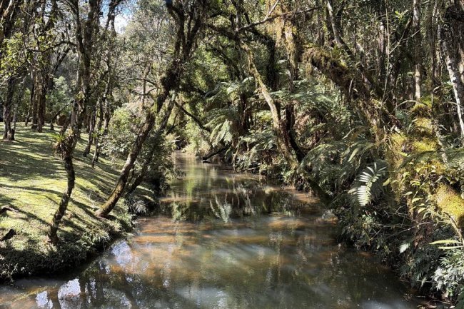 PSA: quem preserva a natureza também cuida da nossa água!