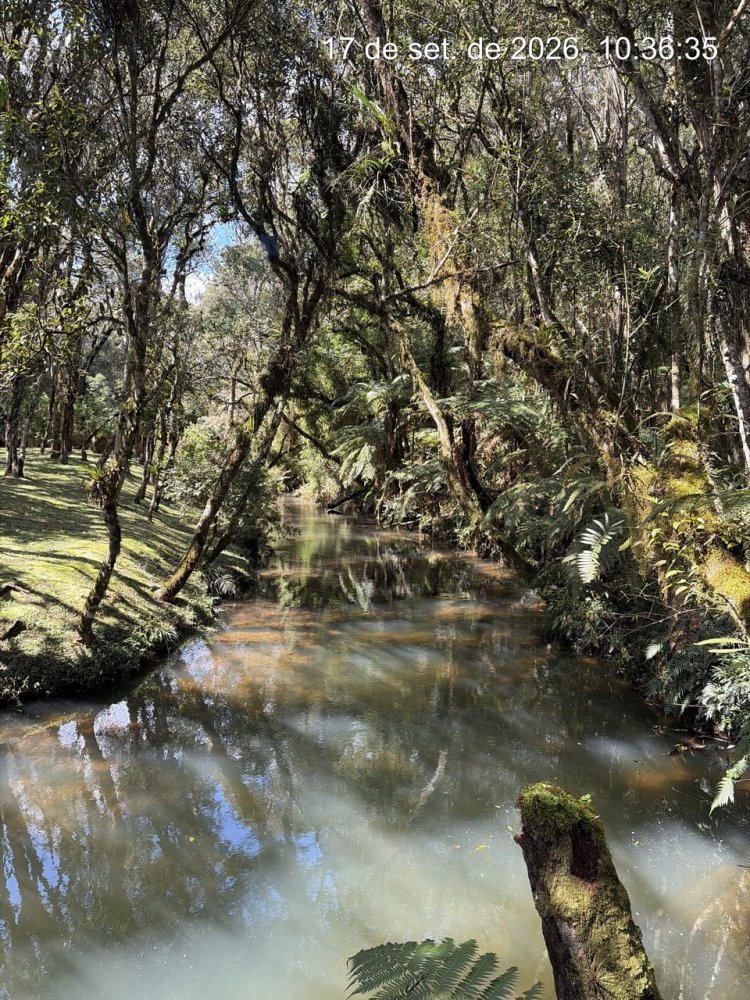 PSA: quem preserva a natureza também cuida da nossa água!