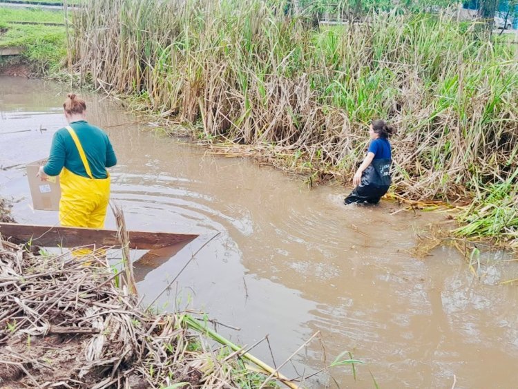 Equipe ambiental do SAMAE resgata curicaca ferida nas dependências de sua sede