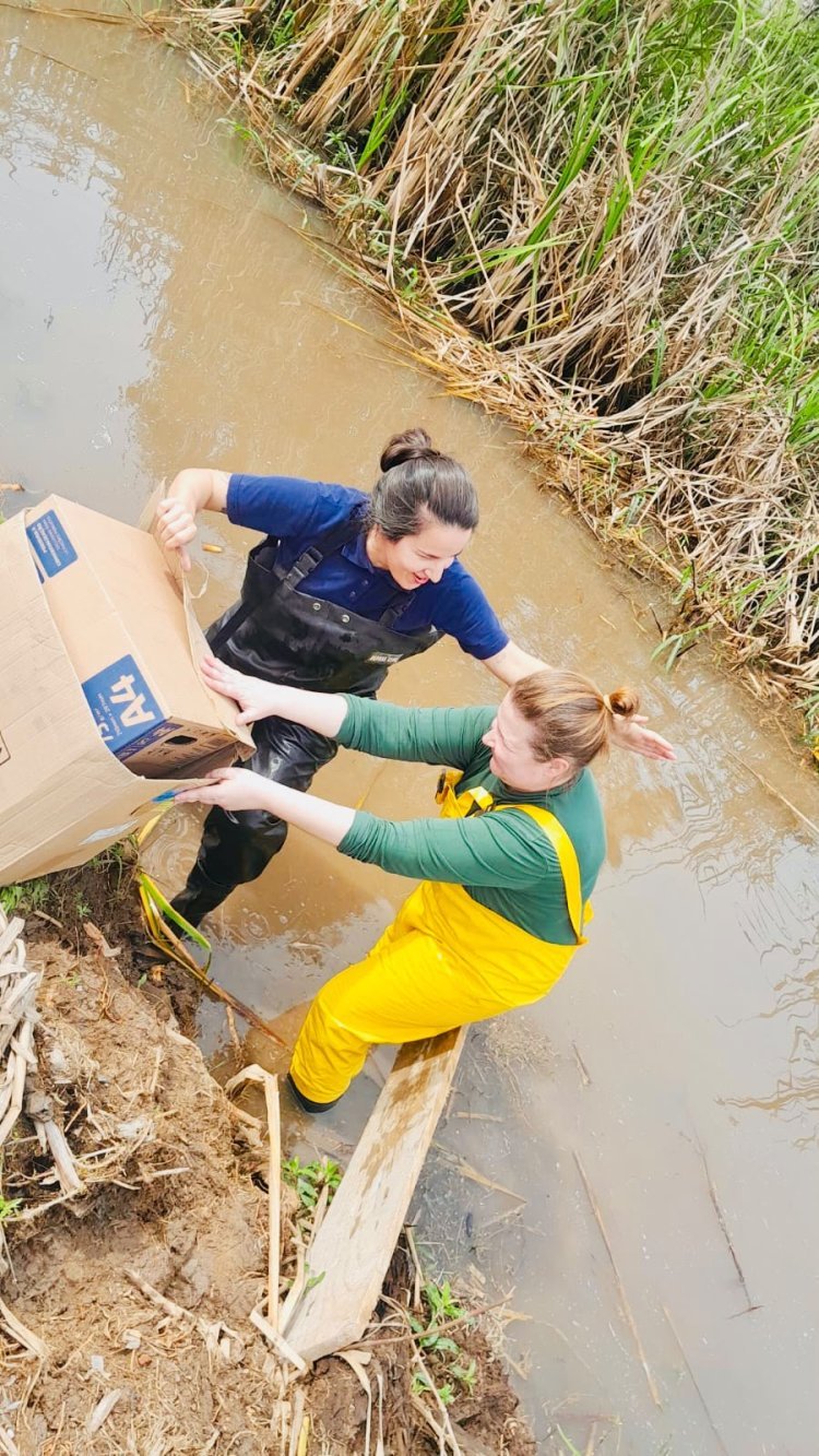 Equipe ambiental do SAMAE resgata curicaca ferida nas dependências de sua sede