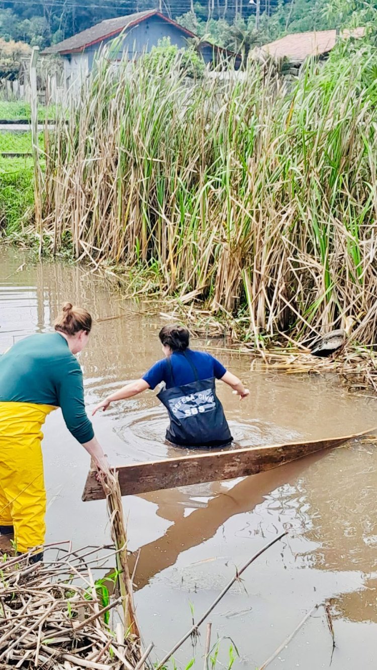 Equipe ambiental do SAMAE resgata curicaca ferida nas dependências de sua sede